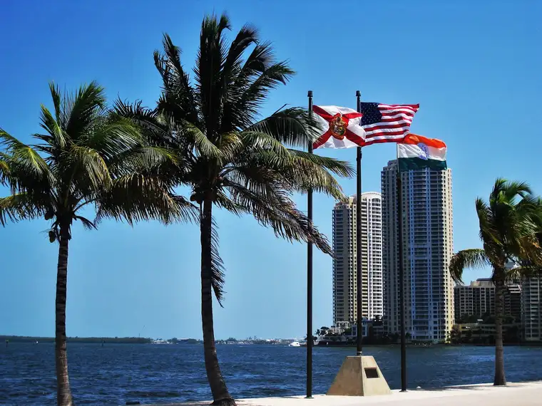 Palm trees and the Miami skyline seen across Biscayne Bay with a United States flag